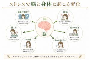 ストレスで脳と身体に起こる変化