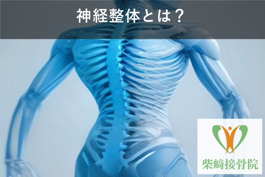 神経整体とは？神経系のイメージ図と柴﨑接骨院ロゴ