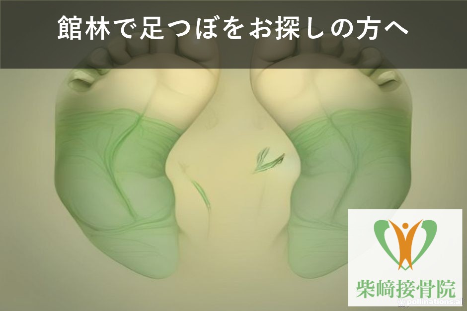 館林で足つぼをお探しの方へ|足裏のイメージ図(群馬県館林市 柴﨑接骨院)