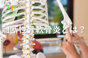 肘・膝に起こる離断性骨軟骨炎を示すイメージ図(館林市柴﨑接骨院)