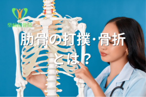 肋骨の打撲・骨折をイメージした図(群馬県館林市 柴﨑接骨院)